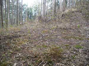 �ѓ�(��Ɠ�)