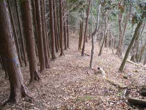 ���т�����`