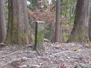 ���̋���