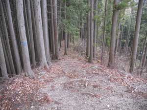 ���΂���̓o�R���B