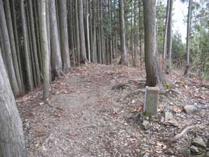 ���΁����̐�̓�