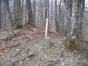 �܂��A����