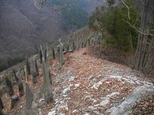 �A�ђn�܂Ŗ߂��Ă������`�`