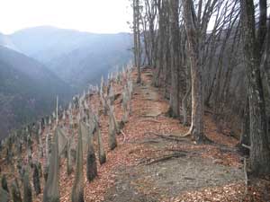 �A�ђn�̔�����i�ށ`�`�`