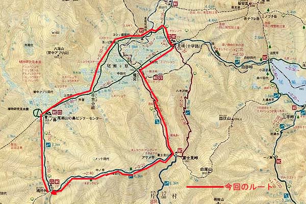 ���� �l�`�o