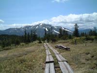 �A�������̖ؓ�