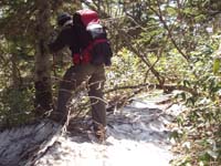 ��ɖ����ꂽ�ؓ�