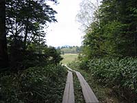 ���E���J����