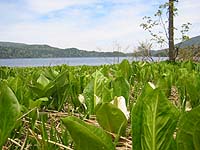 ���������̌i�F�������̂ł����E�E�E