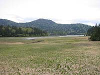 ���Ύ����̕ӂ肩�ȁH