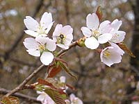 �~�l�U�N���H