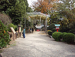 �n�C�L���O�R�[�X�͓��I�̐�