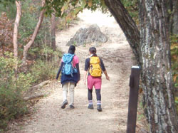 �u�R�K�[���v