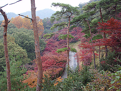 �g�t�����ꂢ