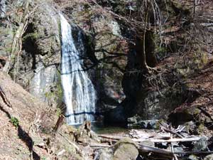 �����̑�@