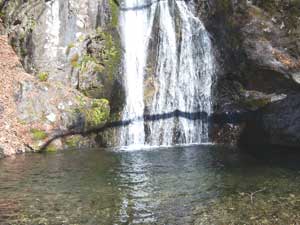 �����̑�@