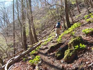 �喔����̓o�R���B