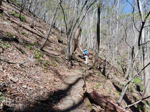 �喔����̓o�R���B