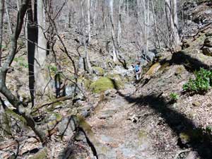 ��܂т�������̓o�R���B