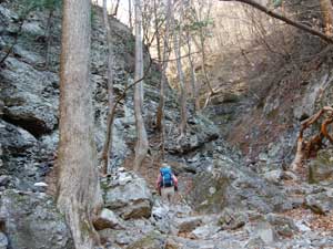 ��܂т�������̓o�R���B