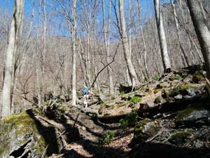 �I�I�h���͌�����̓o�R��