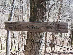 ������̕W��