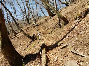 �M�U�M�U�ȓ�