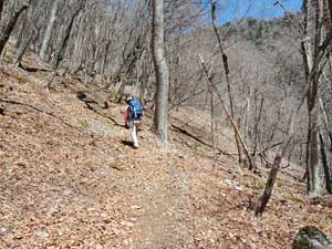 ����������̓o�R���B