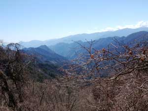 ��������̒���