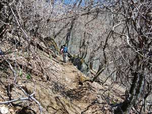 �o�R���̗l�q