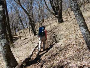 �o�R���̗l�q