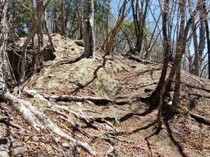 �W������͔�����i�񂾁B