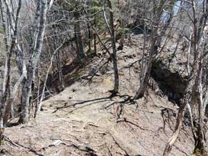 �W������͔�����i�񂾁B