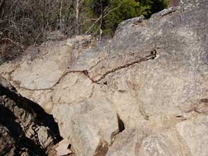 �o�R������̓o�R���B