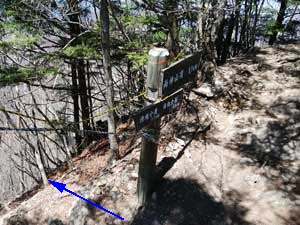 �o�R������̓o�R���B