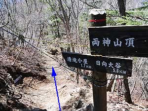 �o�R������̓o�R���B