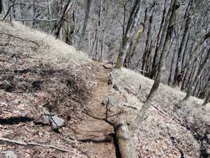 �W������̓o�R��