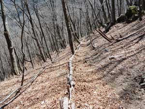 �u�i������̓o�R���B