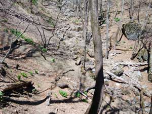 ���̌�̓o�R���̗l�q