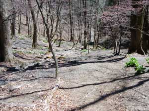 �I�I�h���͌��t�߁H