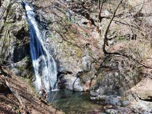 �����̑�