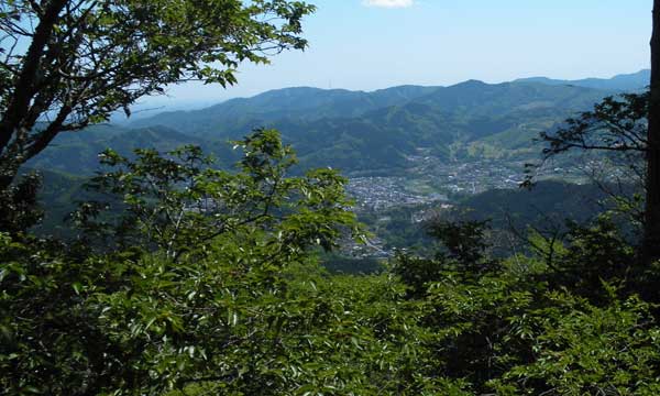 �R���t�߂���̒��߁B