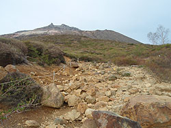 �����ɂ͗Y��Ȓ��P�x