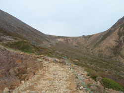 �����ɂ͗Y��Ȓ��P�x