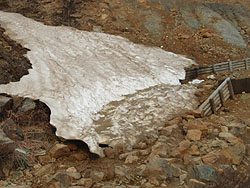 �o�R���ɂ͂܂���