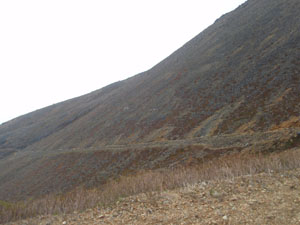 ������(�����ė����o�R����������)