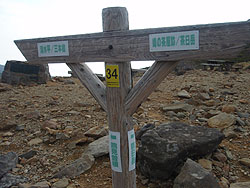 �����x�̌�