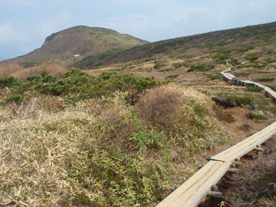 ���������猩���O�{���x