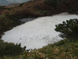 ��ŕ���ꂽ�܂܂̒r