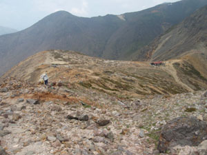 ���̒����Ղ�������������